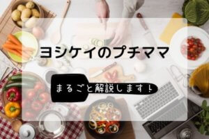 ヨシケイのプチママがある暮らし【まるごと解説します】